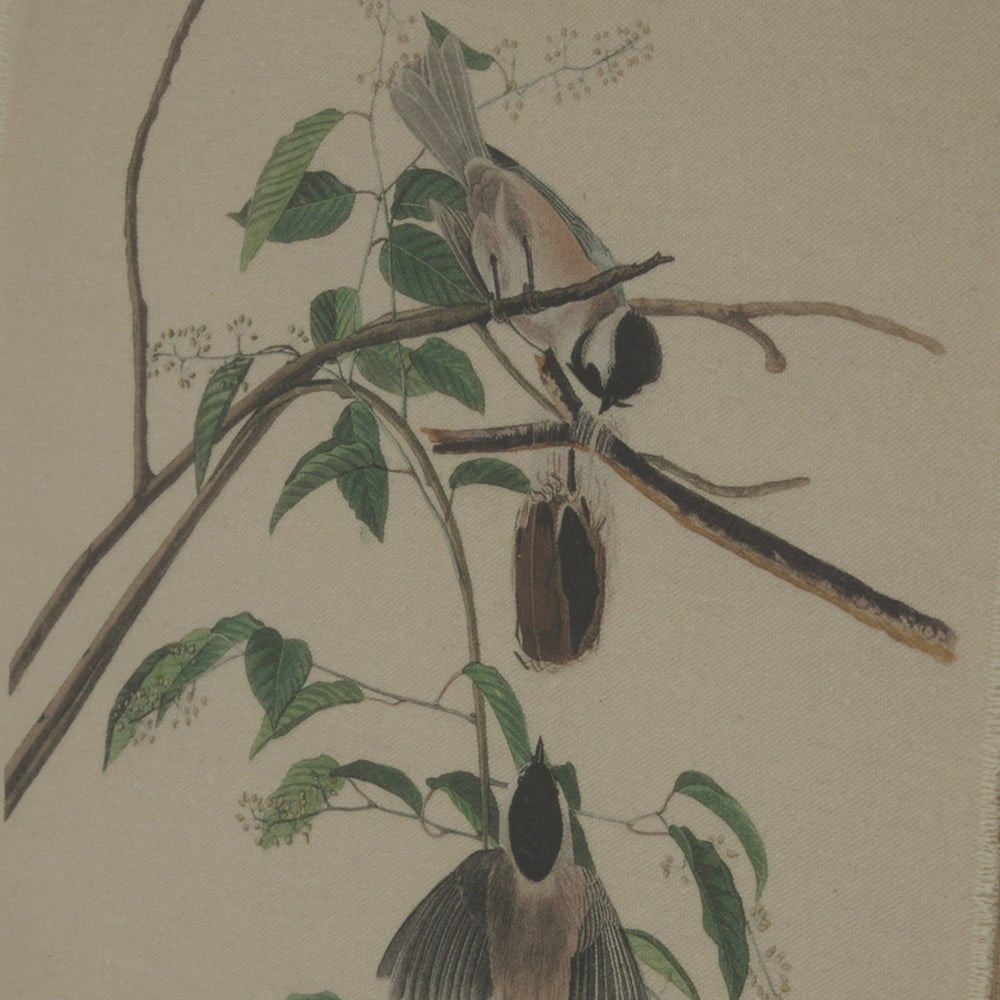 Flora & Fauna Collection Chickadees On Linen In Beaded Frame - TidySpaces