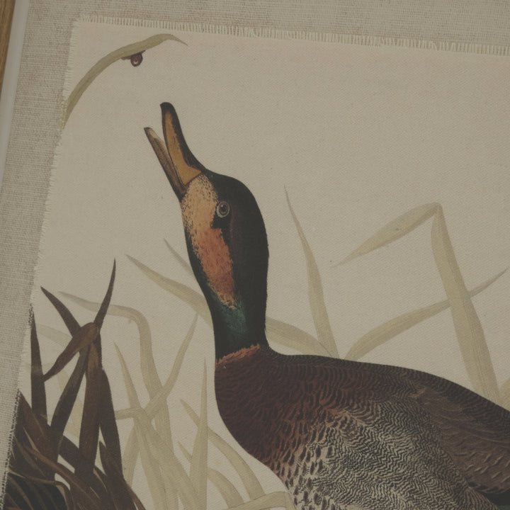 Flora & Fauna Collection Duck On Linen In Beaded Frame - TidySpaces