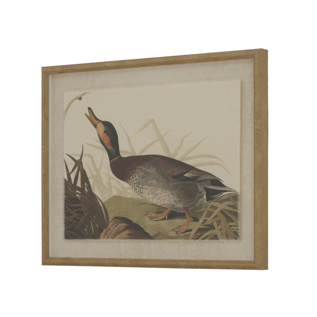 Flora & Fauna Collection Duck On Linen In Beaded Frame BROWN GLASS - TidySpaces