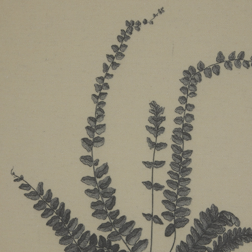 Flora & Fauna Collection Spleenwort On Linen In Beaded Frame - TidySpaces
