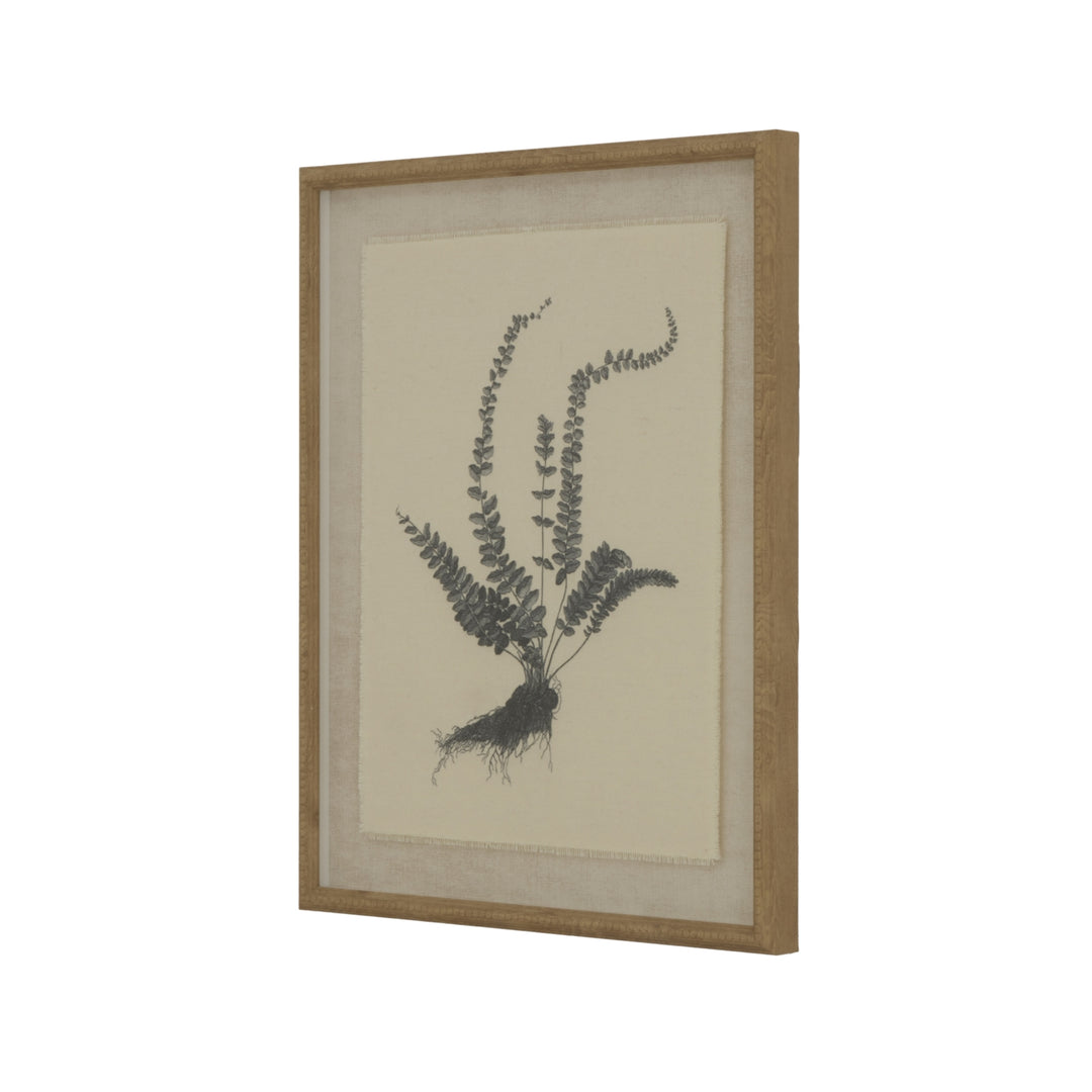 Flora & Fauna Collection Spleenwort On Linen In Beaded Frame WHITE GLASS - TidySpaces