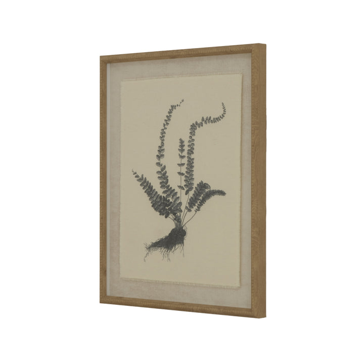Flora & Fauna Collection Spleenwort On Linen In Beaded Frame WHITE GLASS - TidySpaces