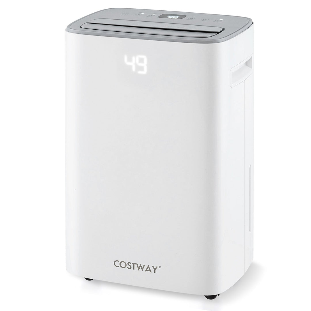 24 L Energy Efficient Dehumidifier with Auto Drain or Manual Drainage-White - TidySpaces
