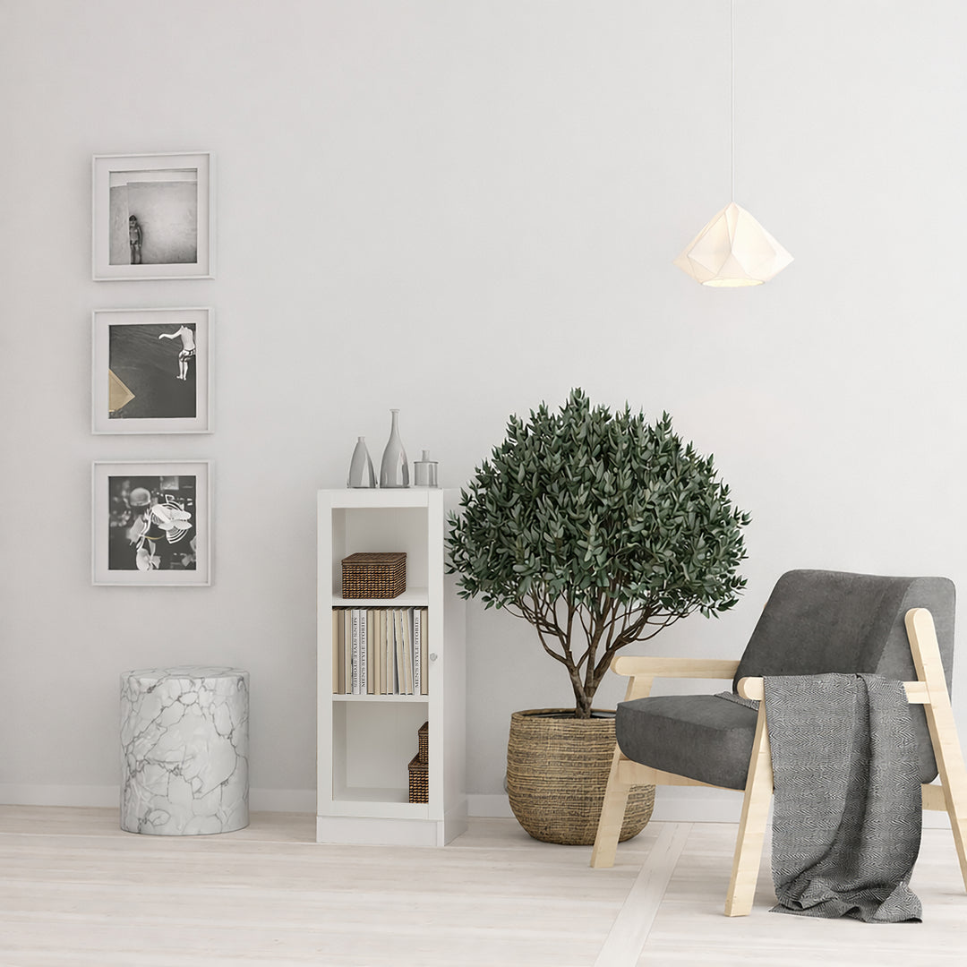 Basic Low Narrow Display Cabinet in White (2 Shelves) with Glass White Door