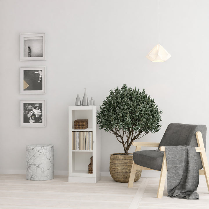 Basic Low Narrow Display Cabinet in White (2 Shelves) with Glass White Door