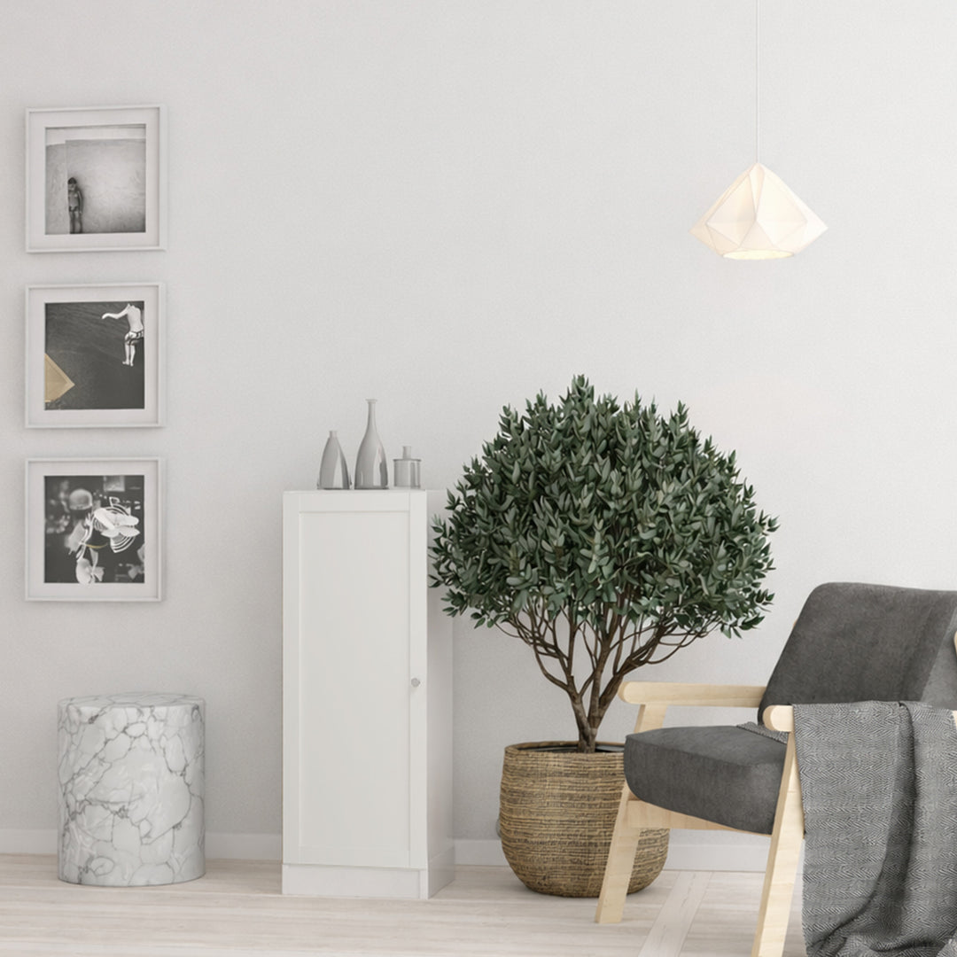 Basic Low Narrow Storage Cabinet in White (2 Shelves) with White Door