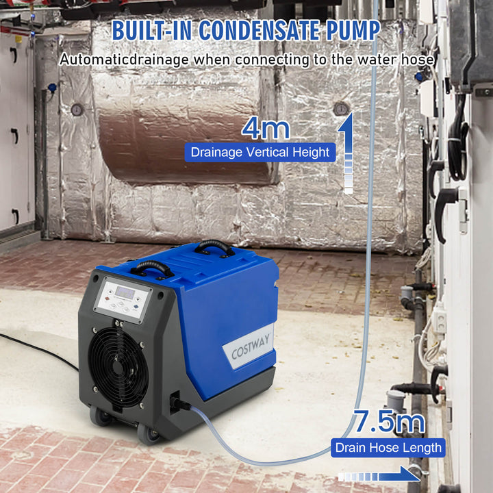 85L/Day Commercial Dehumidifier with Pump and 24H Timer-Blue