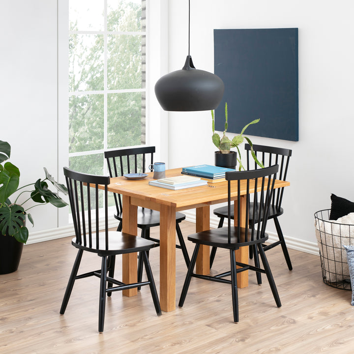 Riano Dining Chairs in Black Set of 2 - TidySpaces