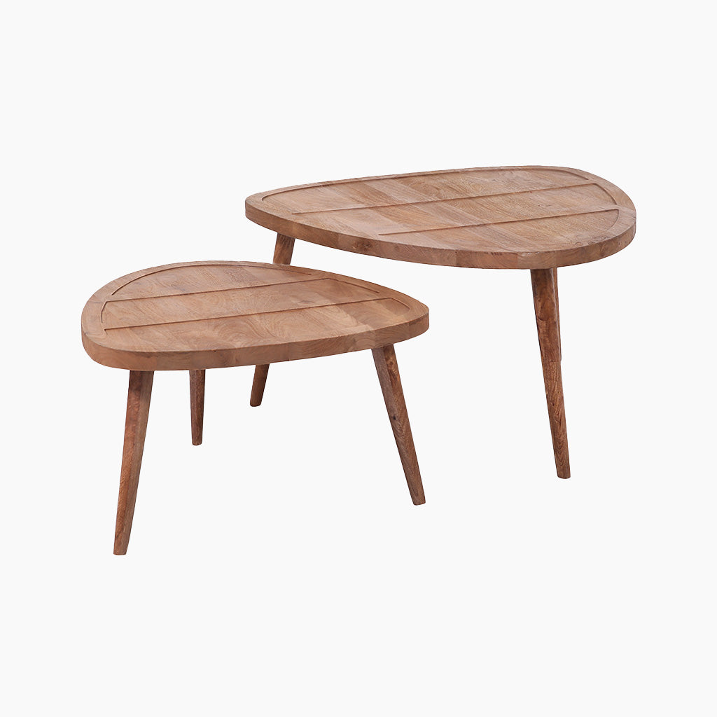 Zoho Coffee Tables Set of 2 - TidySpaces