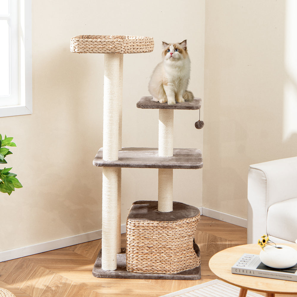 Cattail Cat Tower with Sisal Scratching Posts Perch Condo and Dangling Ball-Coffee - TidySpaces