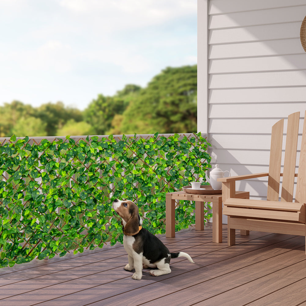 Expandable Fence Privacy Scree with Real Willow Frame - TidySpaces