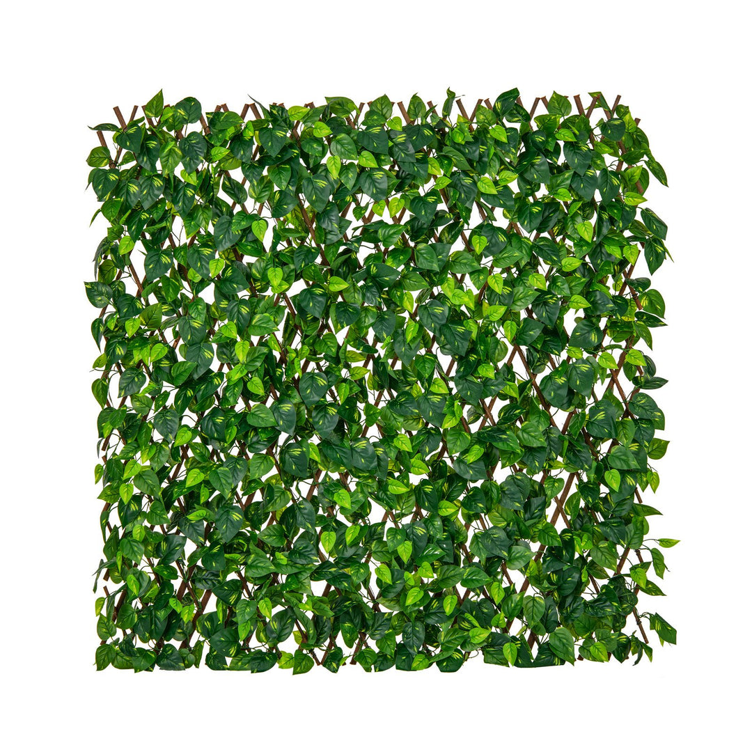 Expandable Fence Privacy Scree with Real Willow Frame - TidySpaces
