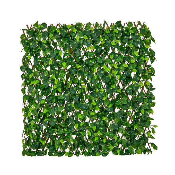 Expandable Fence Privacy Scree with Real Willow Frame - TidySpaces