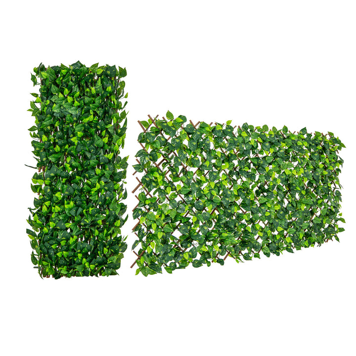 Expandable Fence Privacy Scree with Real Willow Frame - TidySpaces