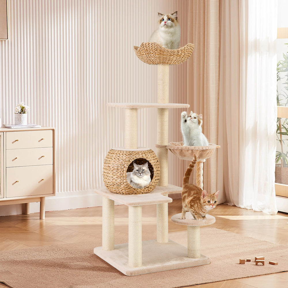 Multi-Level Cat Tree with Cattail Condo and Plush Perch-Beige - TidySpaces
