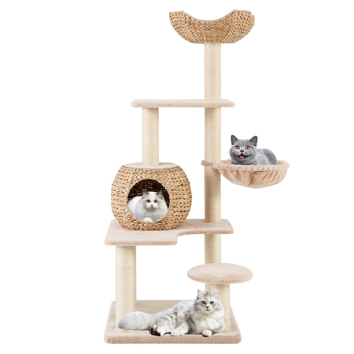 Multi-Level Cat Tree with Cattail Condo and Plush Perch-Beige - TidySpaces