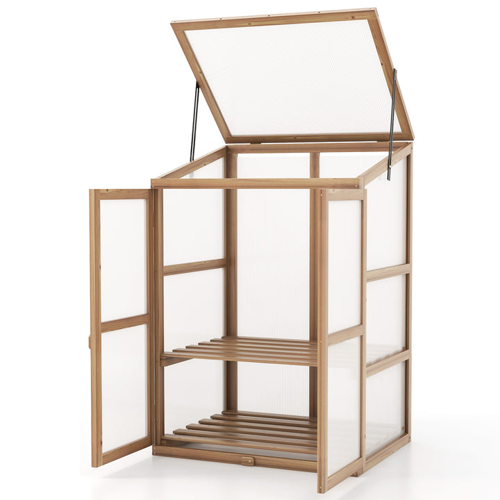 Portable Mini Wooden Greenhouse with 2 Removable Shelves