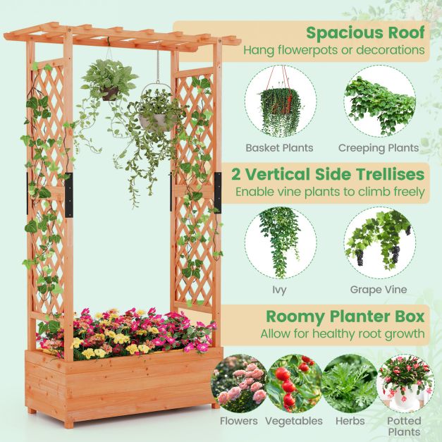 Raised Garden Bed Fir Wood Planter Box with 2-Sided Trellis and Hanging Roof