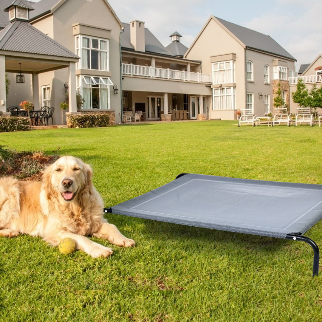 Raised Iron Dog Sofa Bed for Garden and Indoor