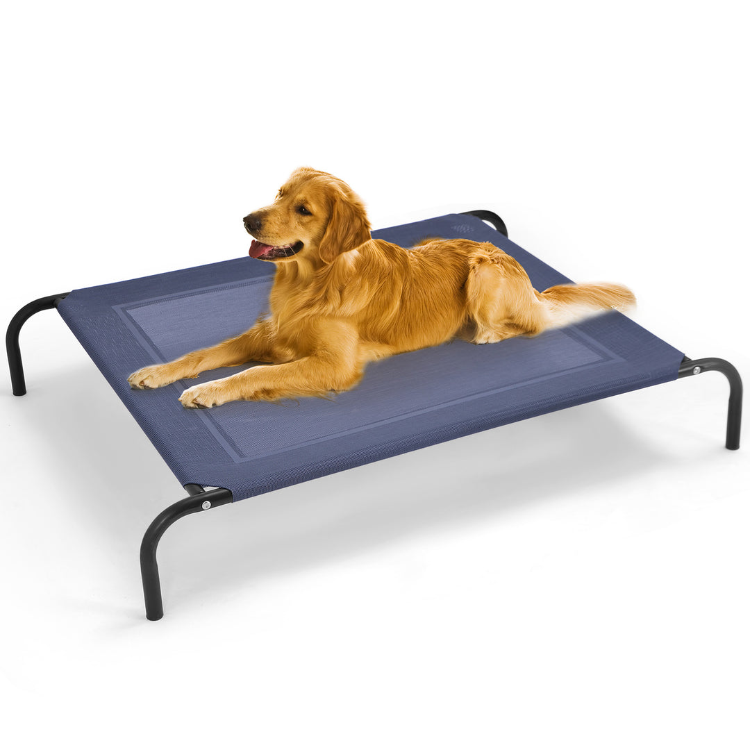 Raised Iron Dog Sofa Bed for Garden and Indoor