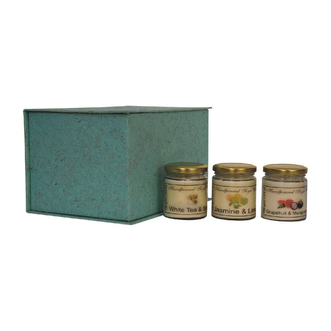 Candle Gift Set of 3 (Spring) - TidySpaces