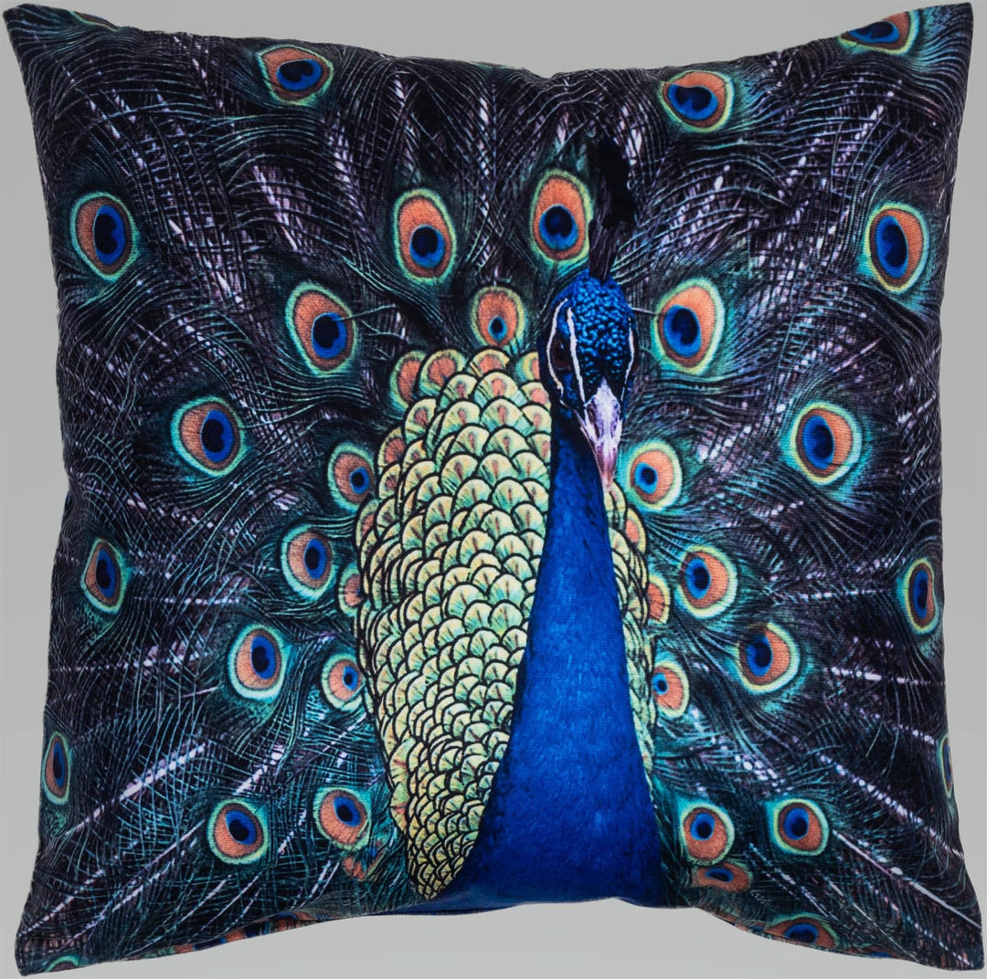 Velvet Printed 18" x 18" (Cushion) - TidySpaces