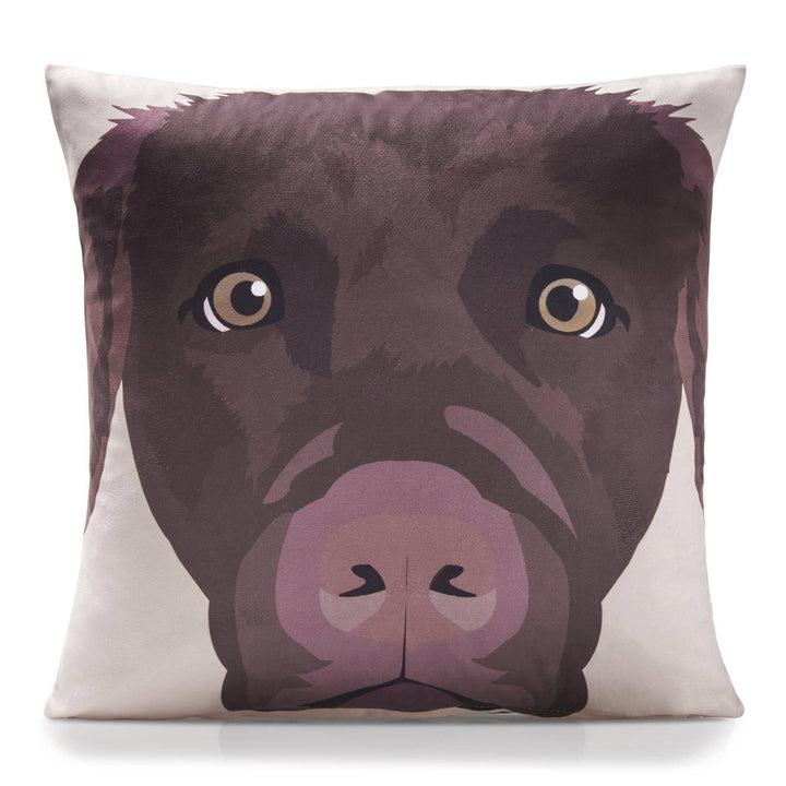 Pets 18" x 18" (Cushion) - TidySpaces