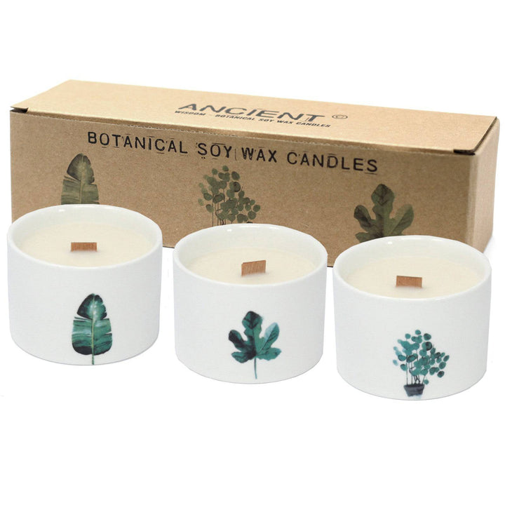 Med Botanical Candles 3 pack - TidySpaces