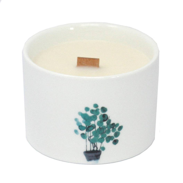 Med Botanical Candles 3 pack - TidySpaces