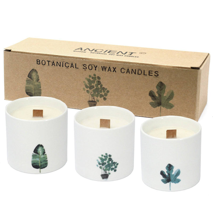 Med Botanical Candles 3 pack - TidySpaces