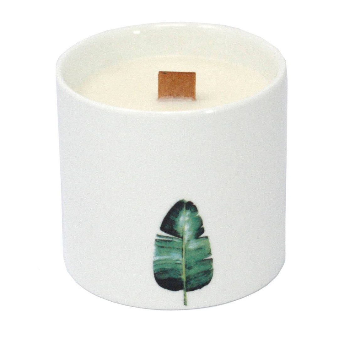 Med Botanical Candles 3 pack - TidySpaces
