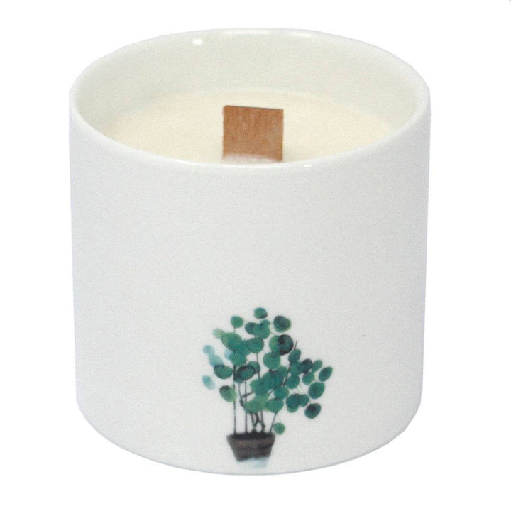 Med Botanical Candles 3 pack - TidySpaces