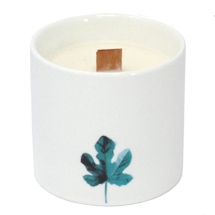 Med Botanical Candles 3 pack - TidySpaces