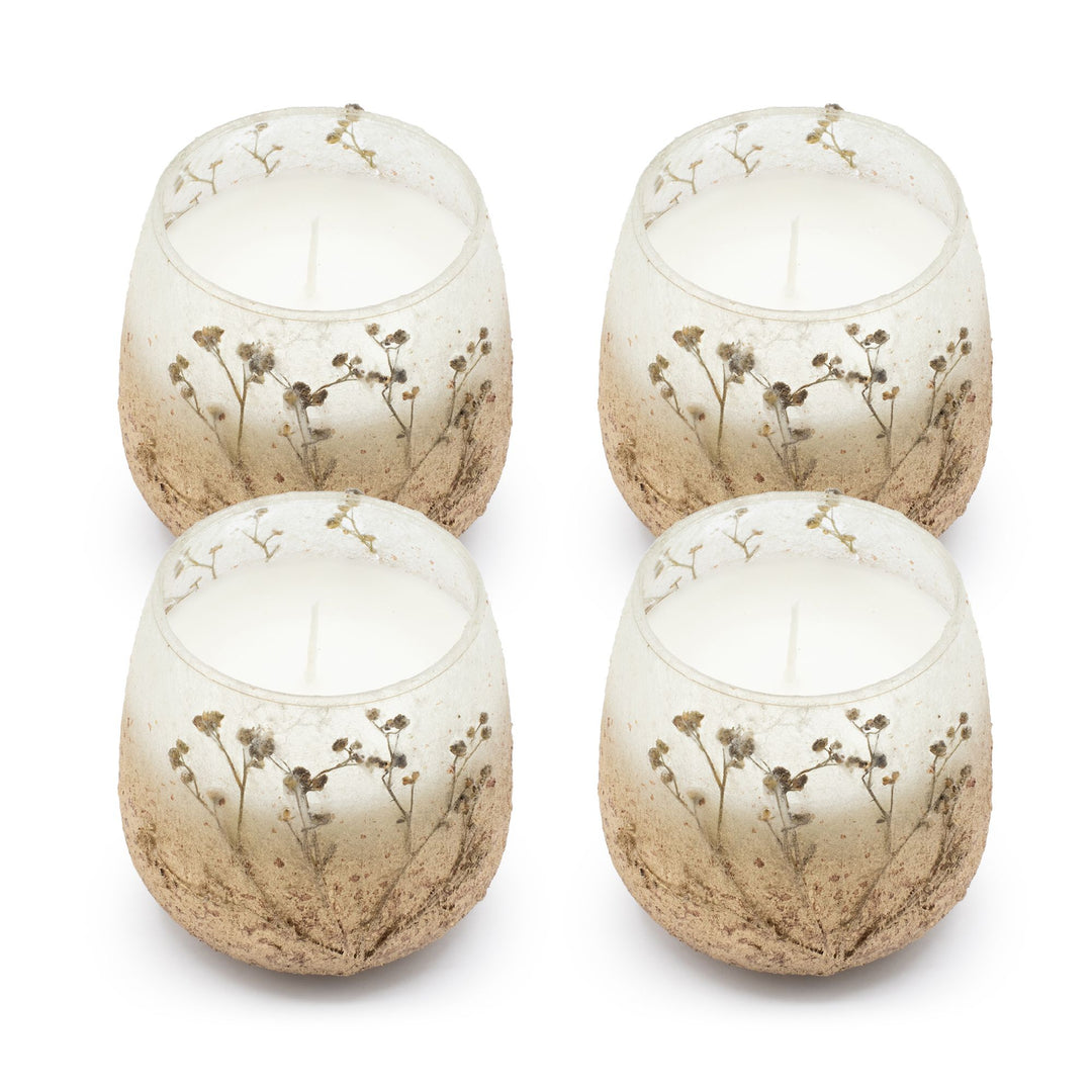 Medium Glass Jar Candles - Wildlight Woods