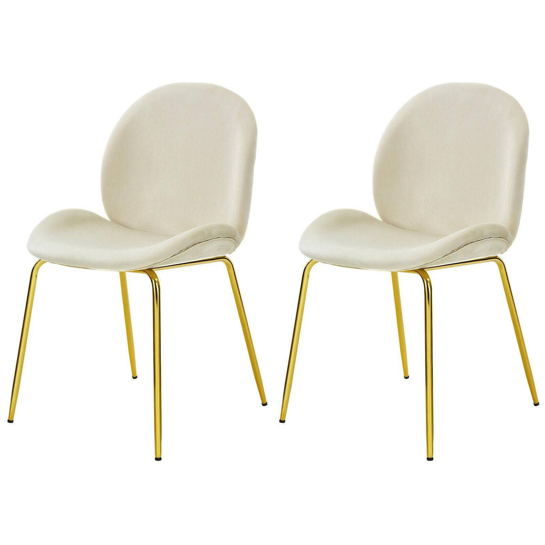 Set of 2 Velvet Dining Chair with Golden Finished Steel Legs - TidySpaces