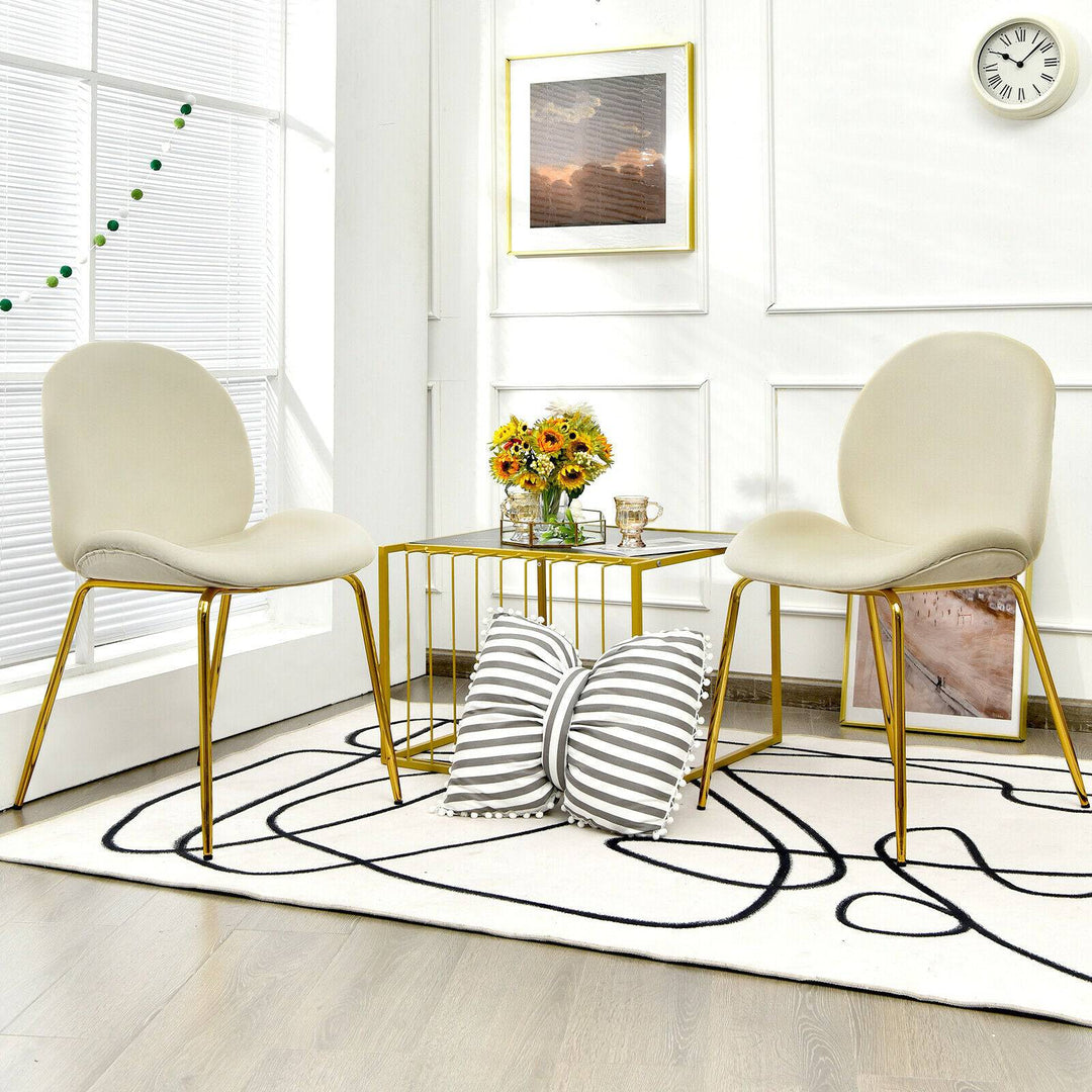 Set of 2 Velvet Dining Chair with Golden Finished Steel Legs - TidySpaces