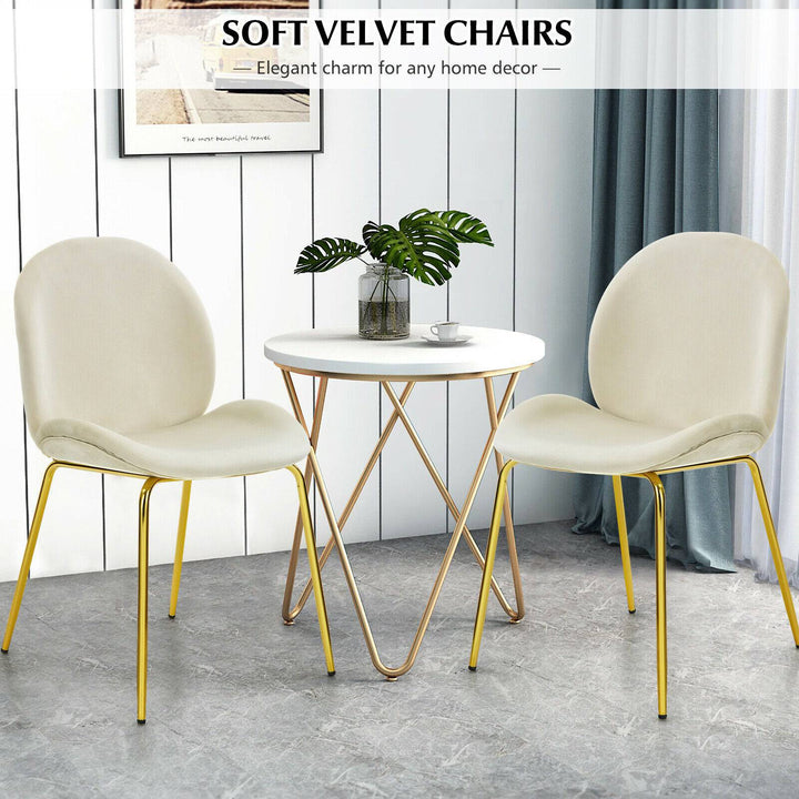 Set of 2 Velvet Dining Chair with Golden Finished Steel Legs - TidySpaces