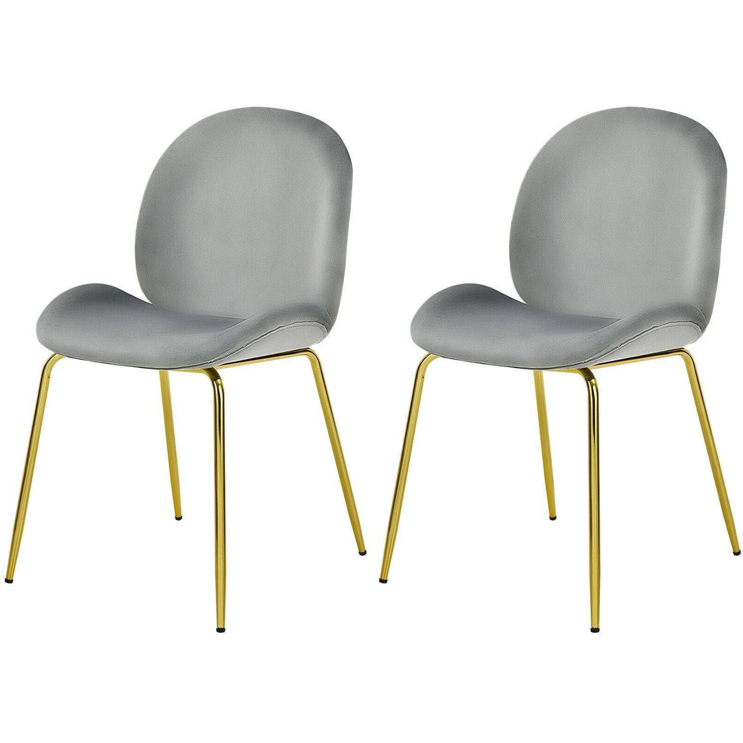 Set of 2 Velvet Dining Chair with Golden Finished Steel Legs - TidySpaces