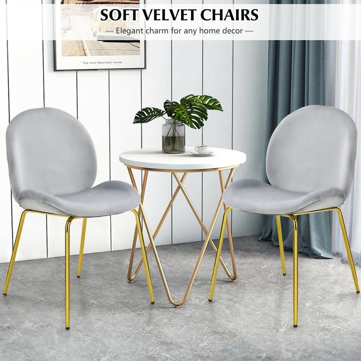 Set of 2 Velvet Dining Chair with Golden Finished Steel Legs - TidySpaces