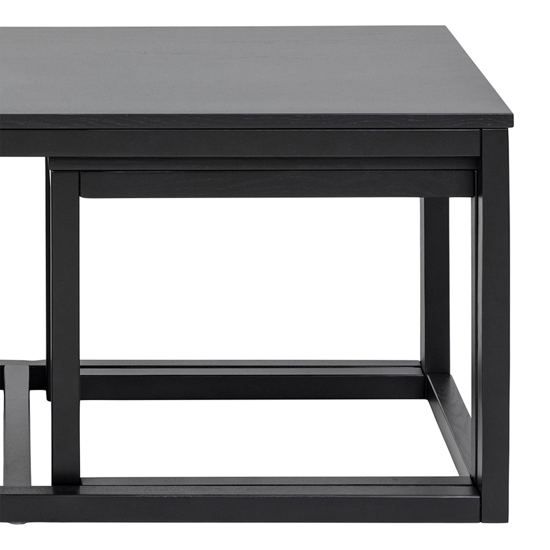 Cornus Square/Coffee Table Set in Matt Black - TidySpaces