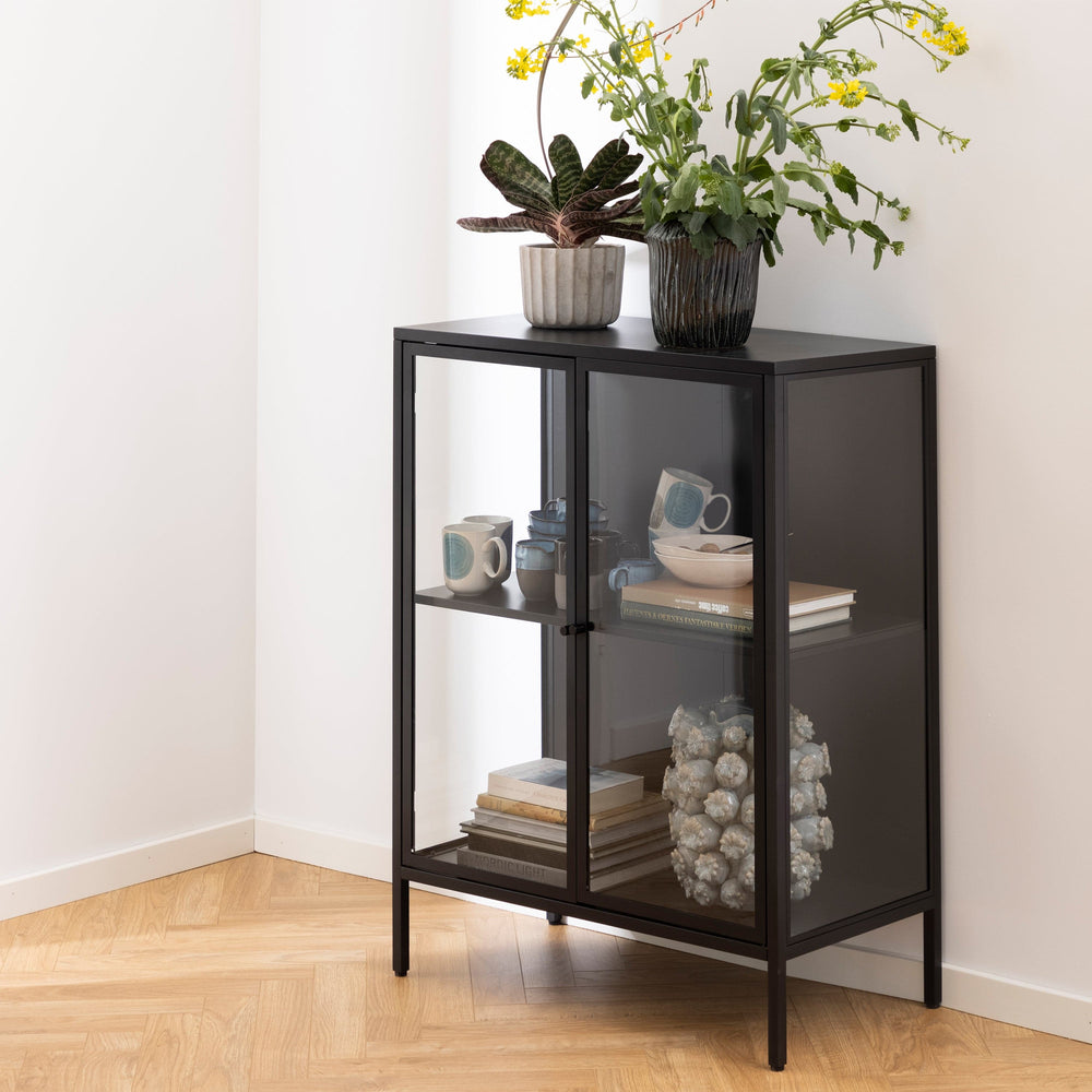 Newcastle Low 2 Door Display Cabinet in Matt Black - TidySpaces