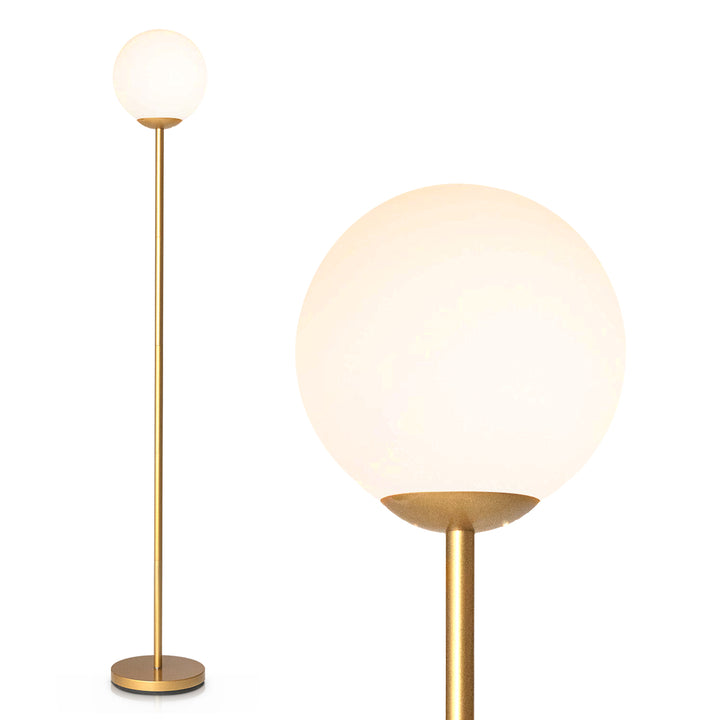 Globe Lamp Cover Floor Lamp with Acrylic Lampshade-Golden