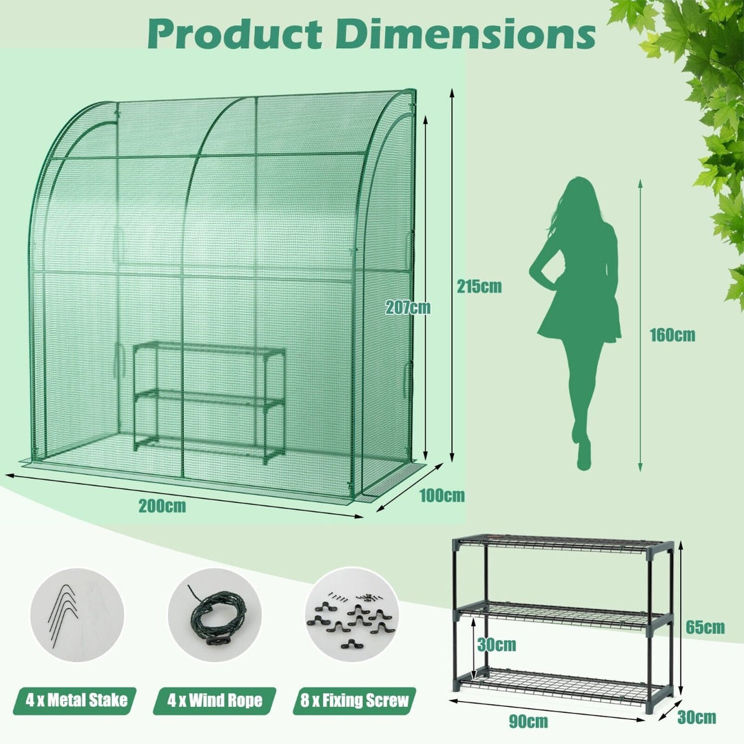 200 x 100 x 215cm Walk in Greenhouse with 3-Tier Plant Stand