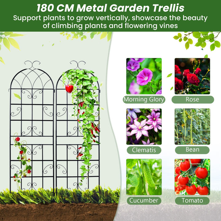 2/4 Pack 180 cm x 50 cm Metal Garden Trellis Decorative for Climbing Plants-4 Pack