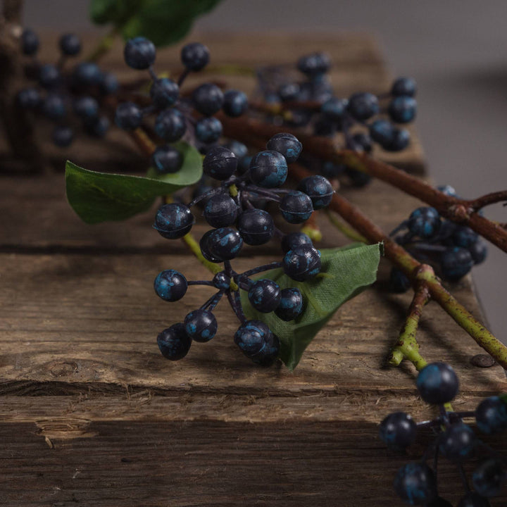 Viburnum Berry - TidySpaces