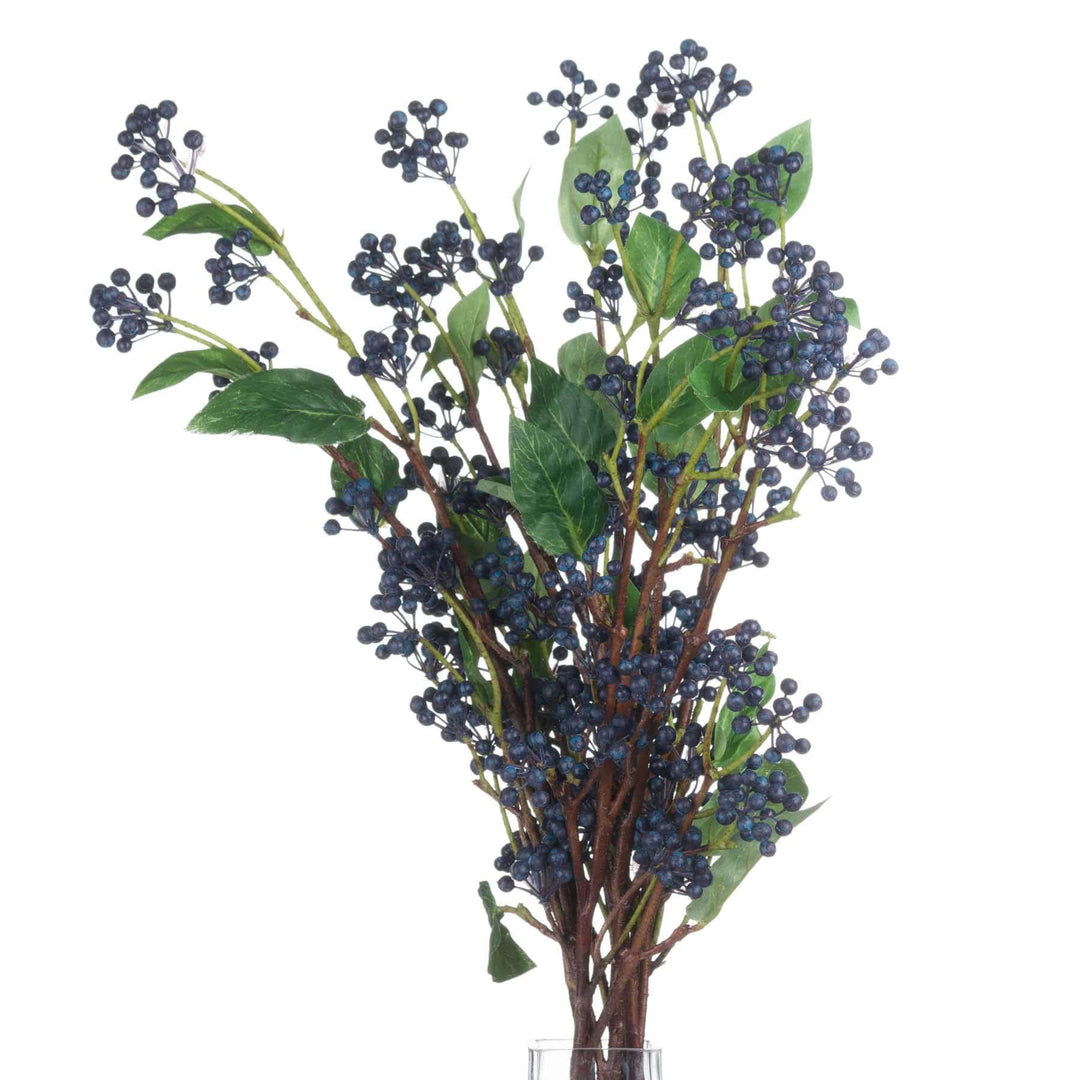 Viburnum Berry - TidySpaces