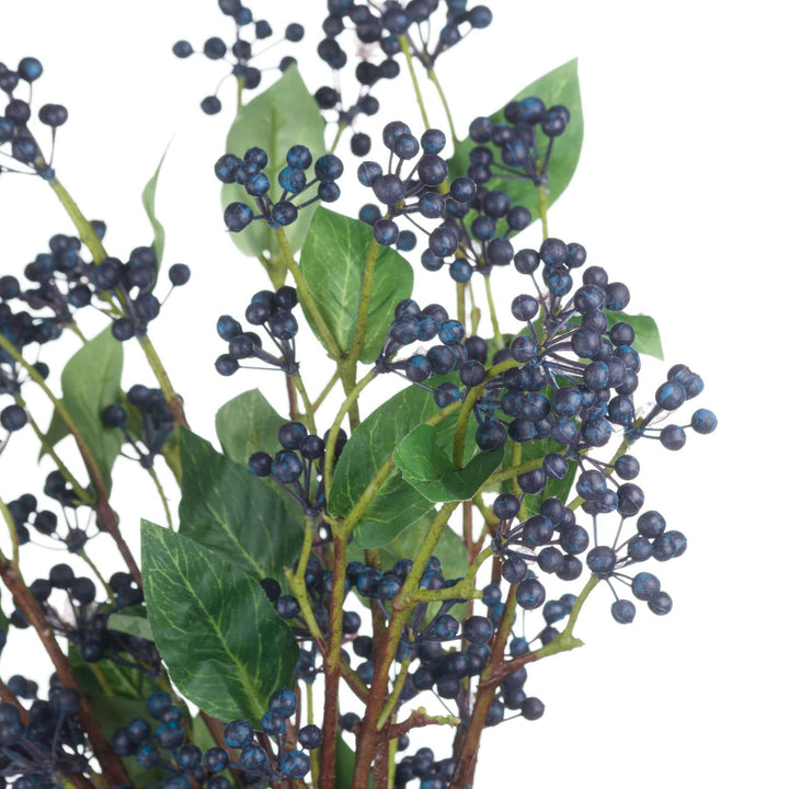 Viburnum Berry - TidySpaces