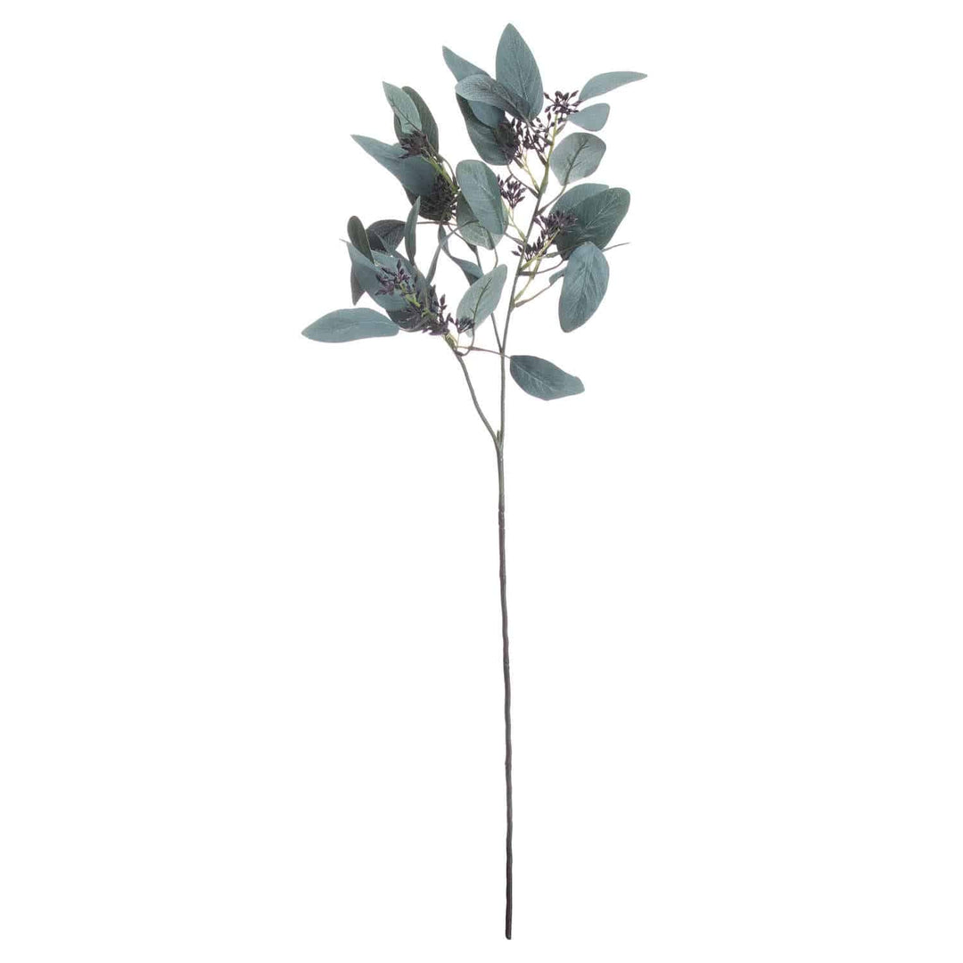 Seeded Eucalyptus Stem - TidySpaces