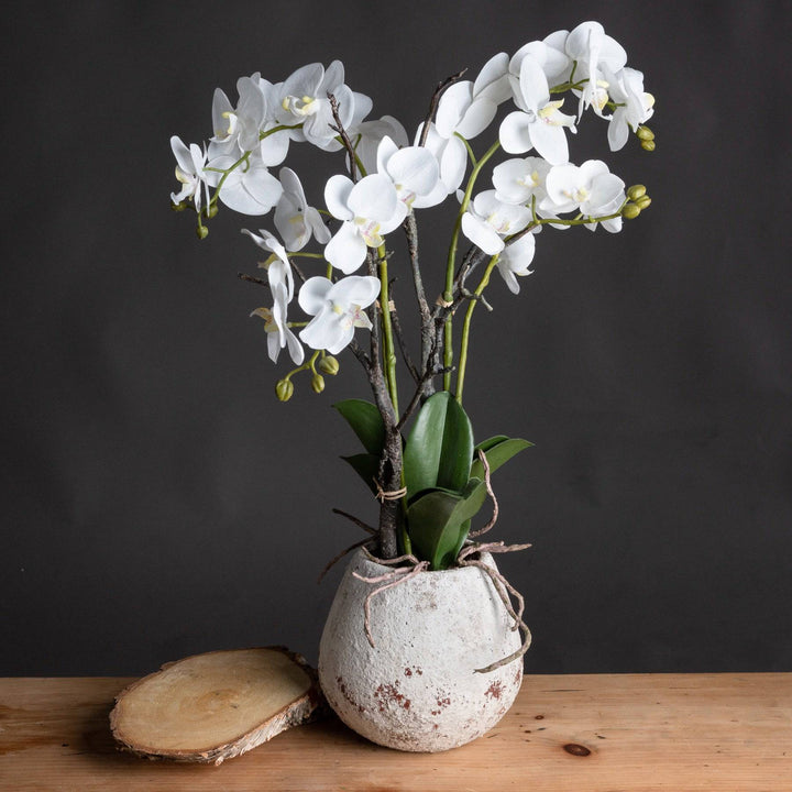 White Orchid In Stone Pot WHITE PLASTIC - TidySpaces