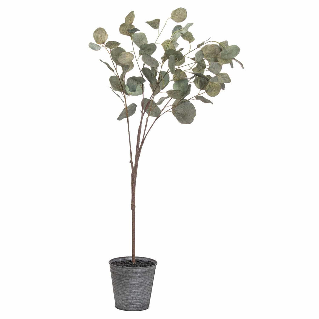 Eucalyptus Tree In Metallic Pot - TidySpaces